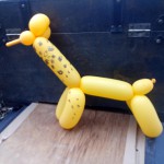 IMG_20220803_154639_234