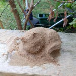 IMG_20220818_154752_058